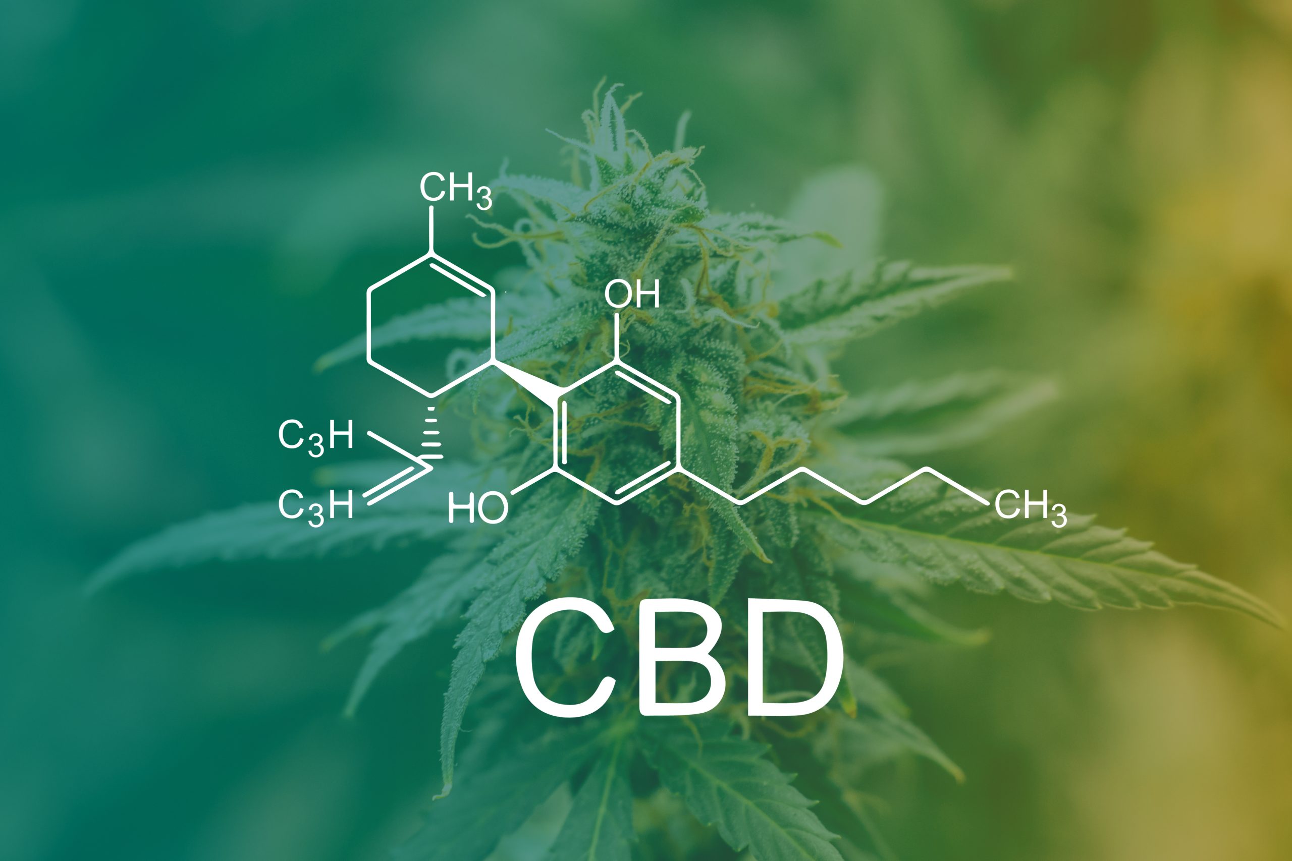 Featured image depicting a watermark photographic image of a cannabis flower bud, overlayed with an image of the Molecular Map of a CBD molecule